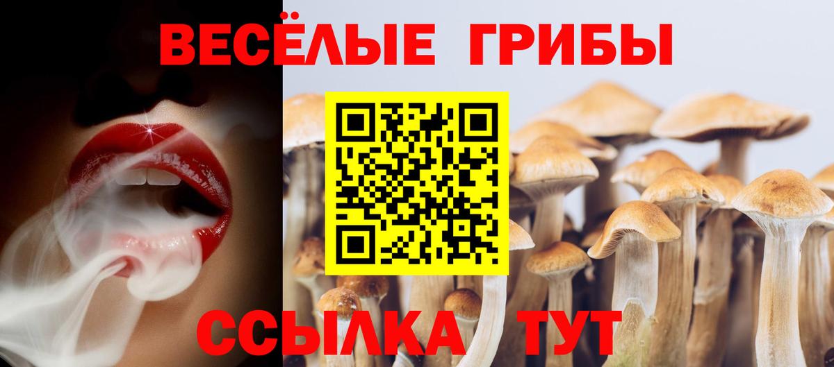 Галлюциногенные грибы GOLDEN TEACHER  Вход с VPN  Псилоцибиновые грибы Psilocybine cubensis  Шахты 